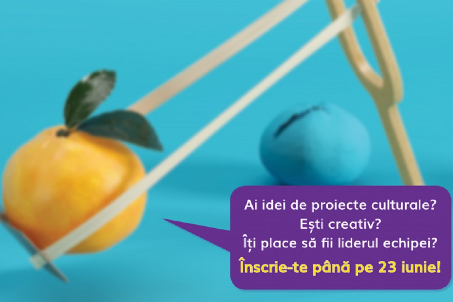 Scoala de vara Culturadata