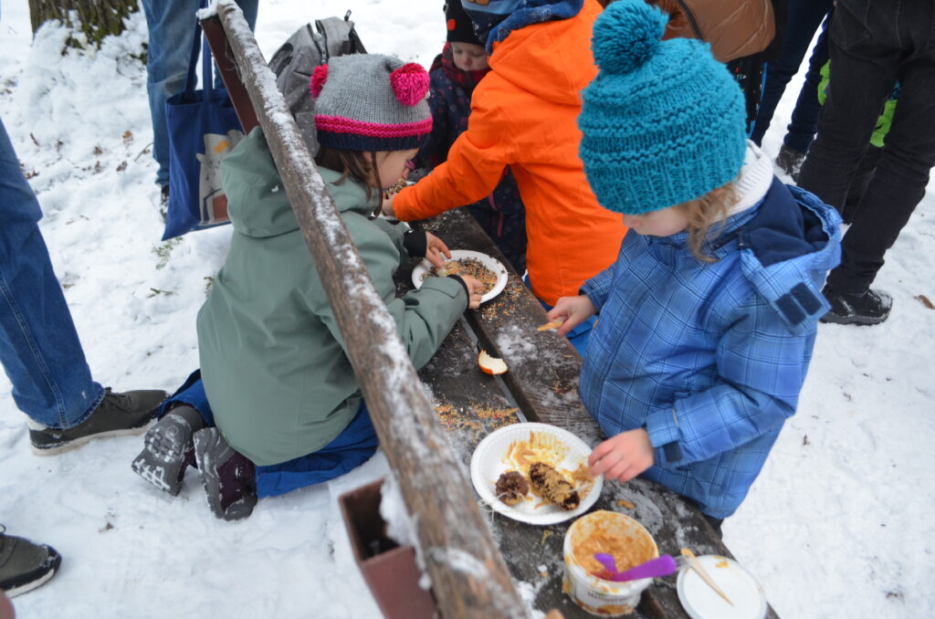 Copiii pregătesc conuri de care prind hrană pentru păsări