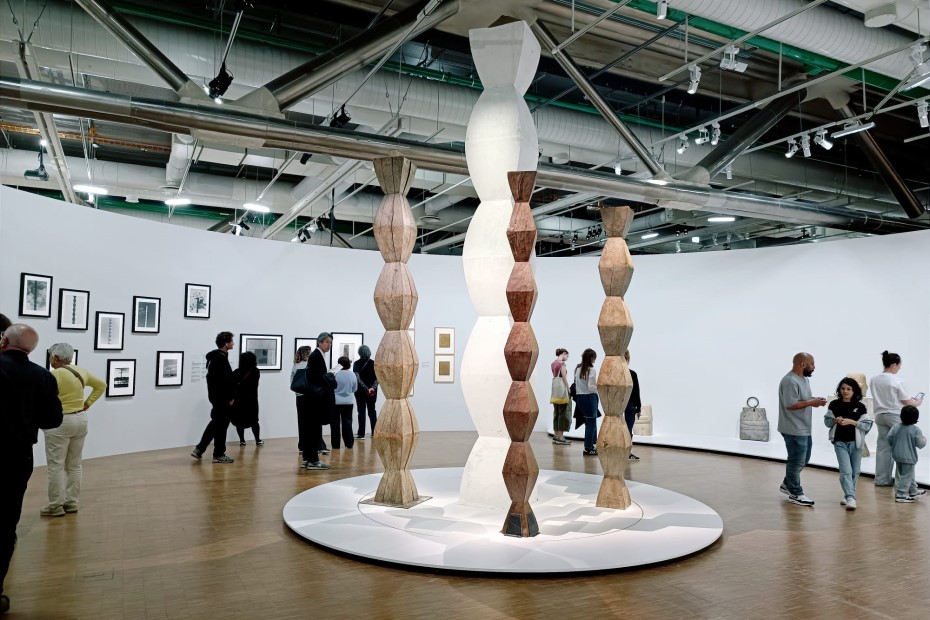 foto Cultura la duba Brancusi Expozitie Pompidou