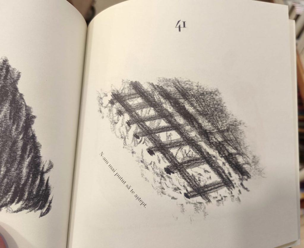 Desen realizat de Mihail Coșulețu pentru cartea Scrisori de sinucigaș, de T.O. Bobe/ foto: Alexandra Tănăsescu, Cultura la dubă