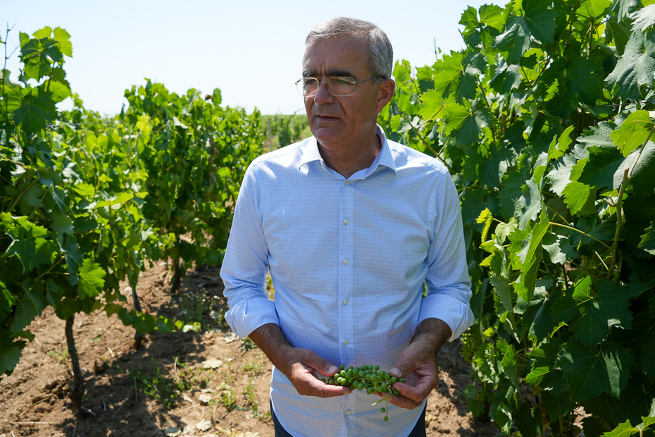 Ilarie Prioteasa, fondatorul Cramei Cepari/ foto: Sorin Tănase