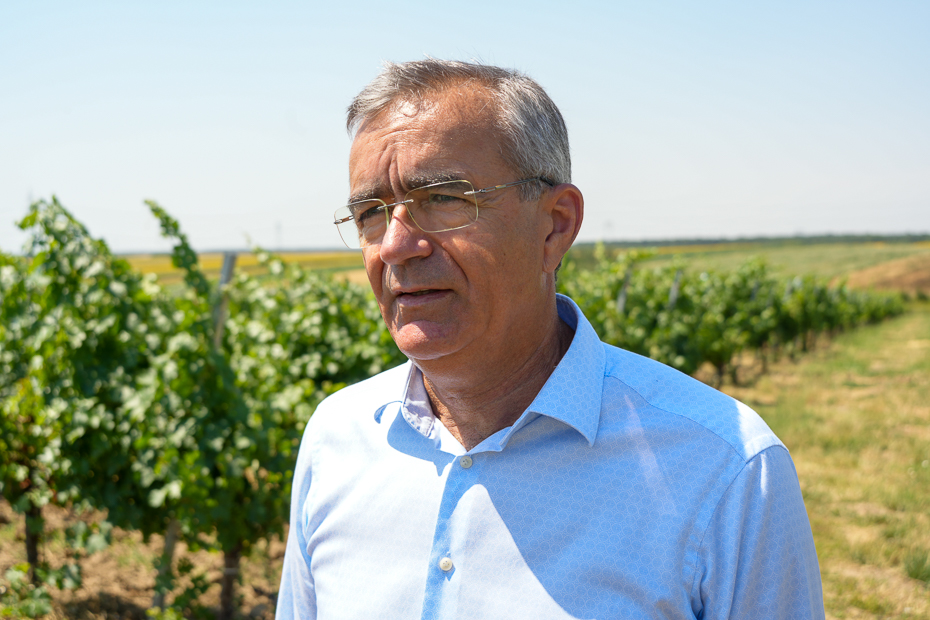 Ilarie Prioteasa, fondatorul Cramei Cepari/ foto: Sorin Tănase