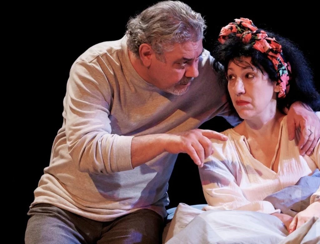 Actrița Mariana Dănescu în Conu Leonida față cu Progresiunea/ foto: Teatrul Metropolis