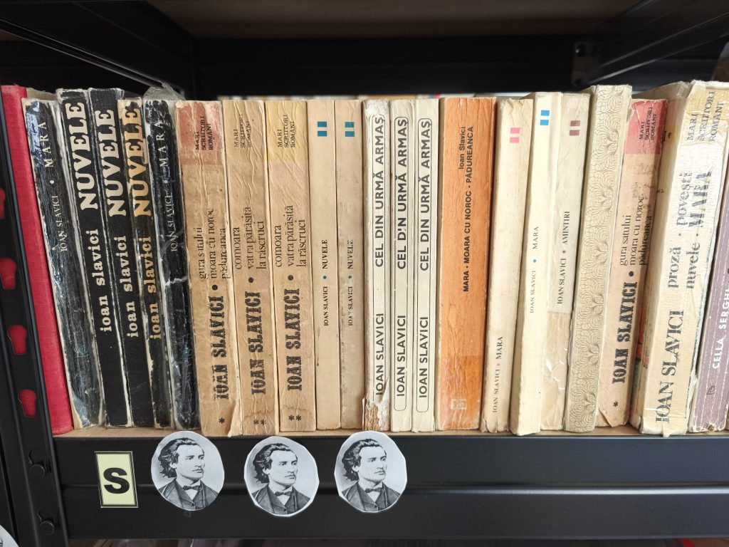 Bibliotecă școlară în Târgoviște, 2025/ foto: Cultura la dubă