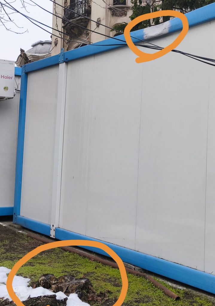 Urma copacului tăiat și urma lăsată de copacul căzut pe container/ foto: Cultura la dubă