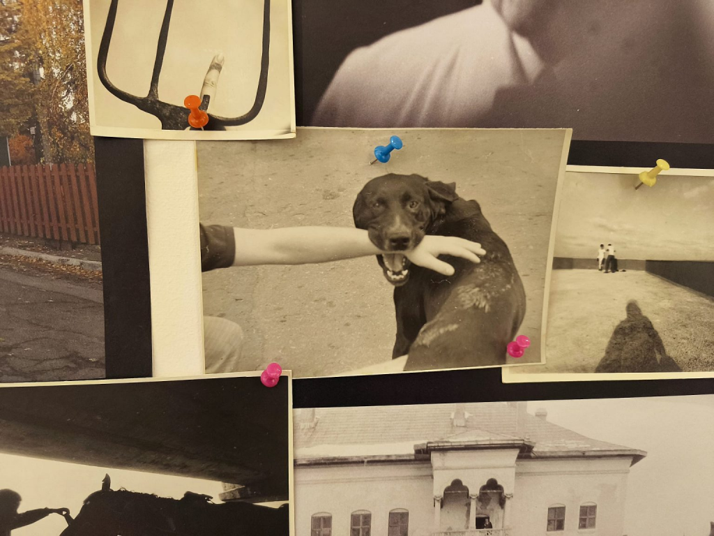 Fotografii de Cristian Mungiu în expoziția de la Paris/ foto: Alexandra Tănăsescu, Cultura la dubă